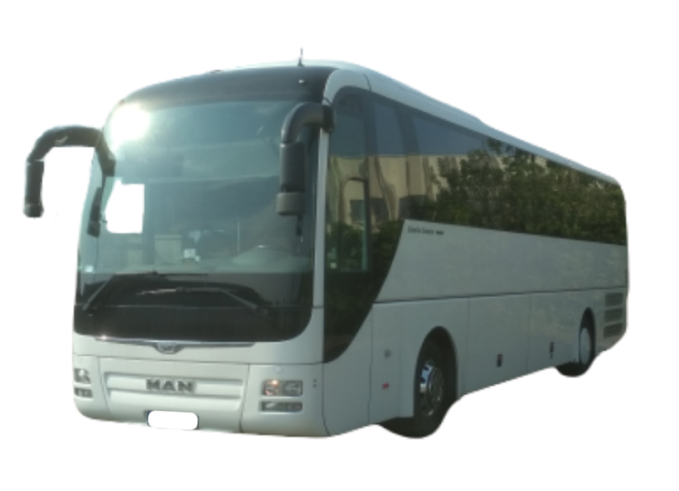 MAN lion's coach (49+2)