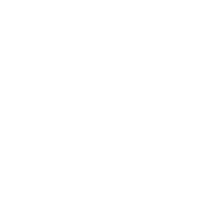 VIP személyszállítás, delegációs munkák
